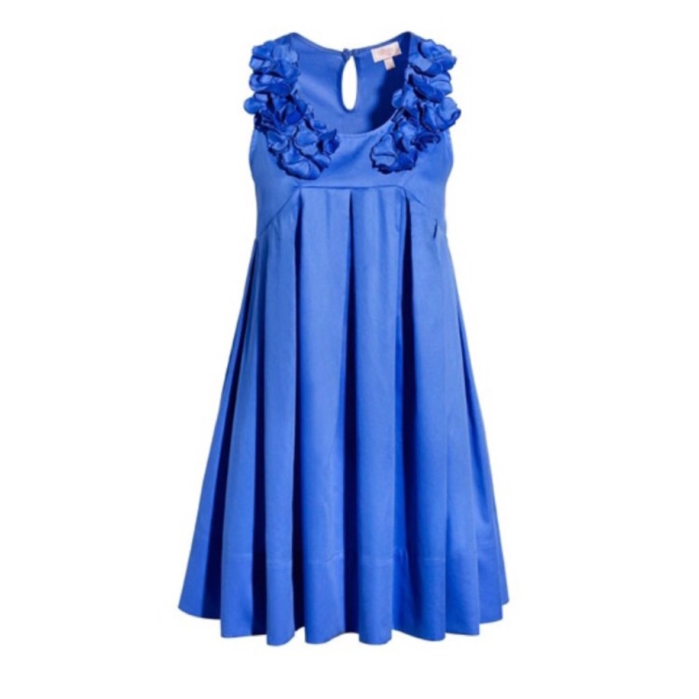 {H&M Garden Collection} Blue Floral Dress